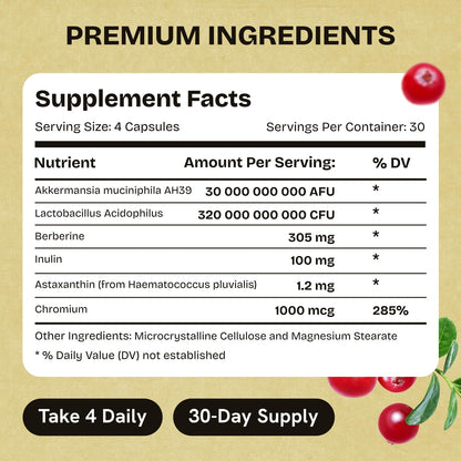 Akkermansia Muciniphila Probiotics 320 Billion CFU| Probiotic and Prebiotic | Akkermansia Probiotics for gut health | Inulin Prebiotic Fiber Capsules Astaxanthin & Berberine & Chromium | 120 capsules Stanis Labs buy supplements Au