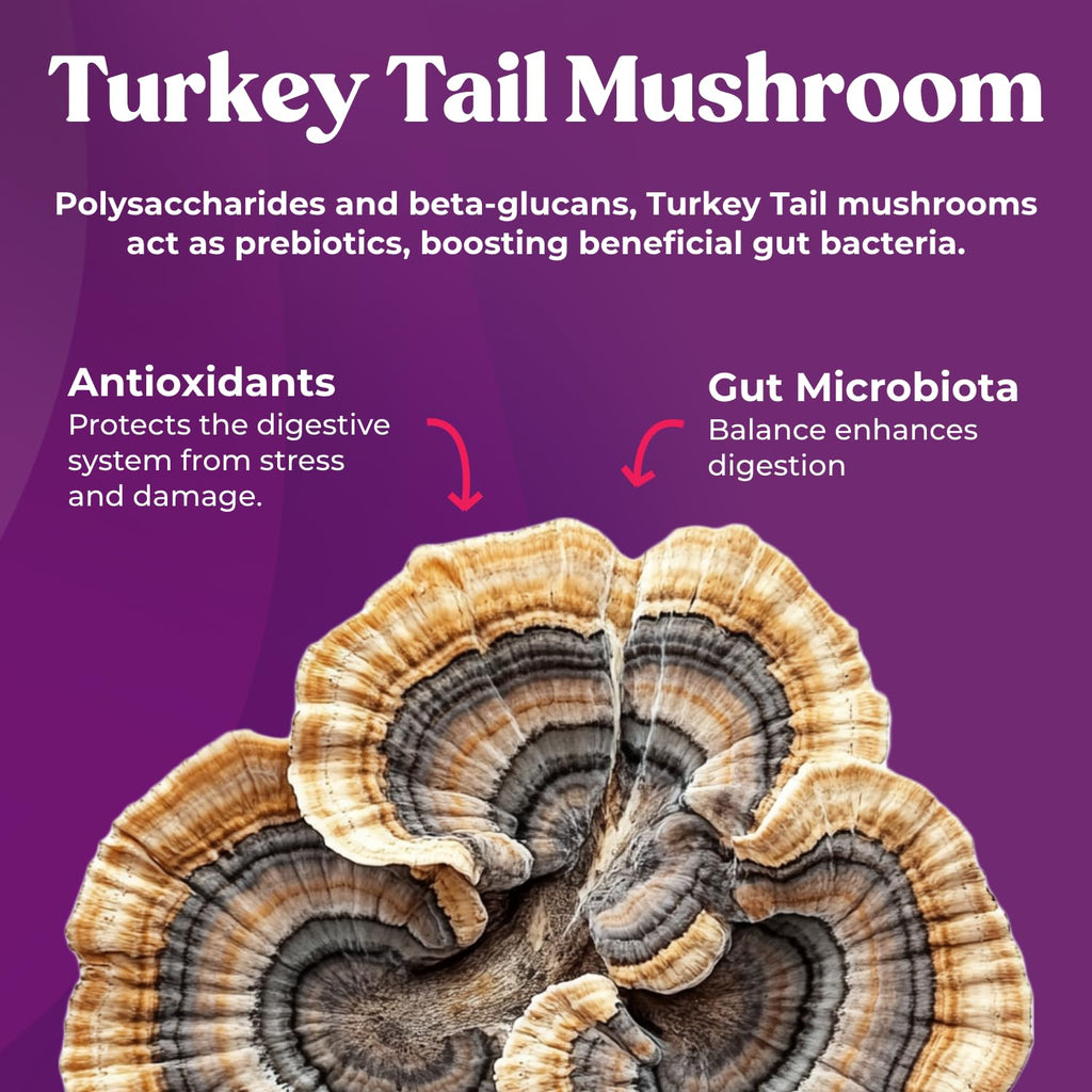 Fungiments Super Prune - Mushroom Supplement - Turkey Tail Mushrooms, Fiber, Rhubarb, Prunes, Ginger, Chamomile - Debloating, Constipation Relief