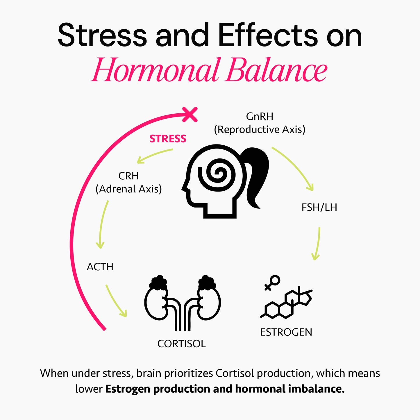 Ayurvedic Hormone Balance for Women | Cortisol Reducer | Mood, Energy, & Sleep Support | Regulates Estrogen | Stress Relief | Ashwagandha, Rhodiola, & Shatavari