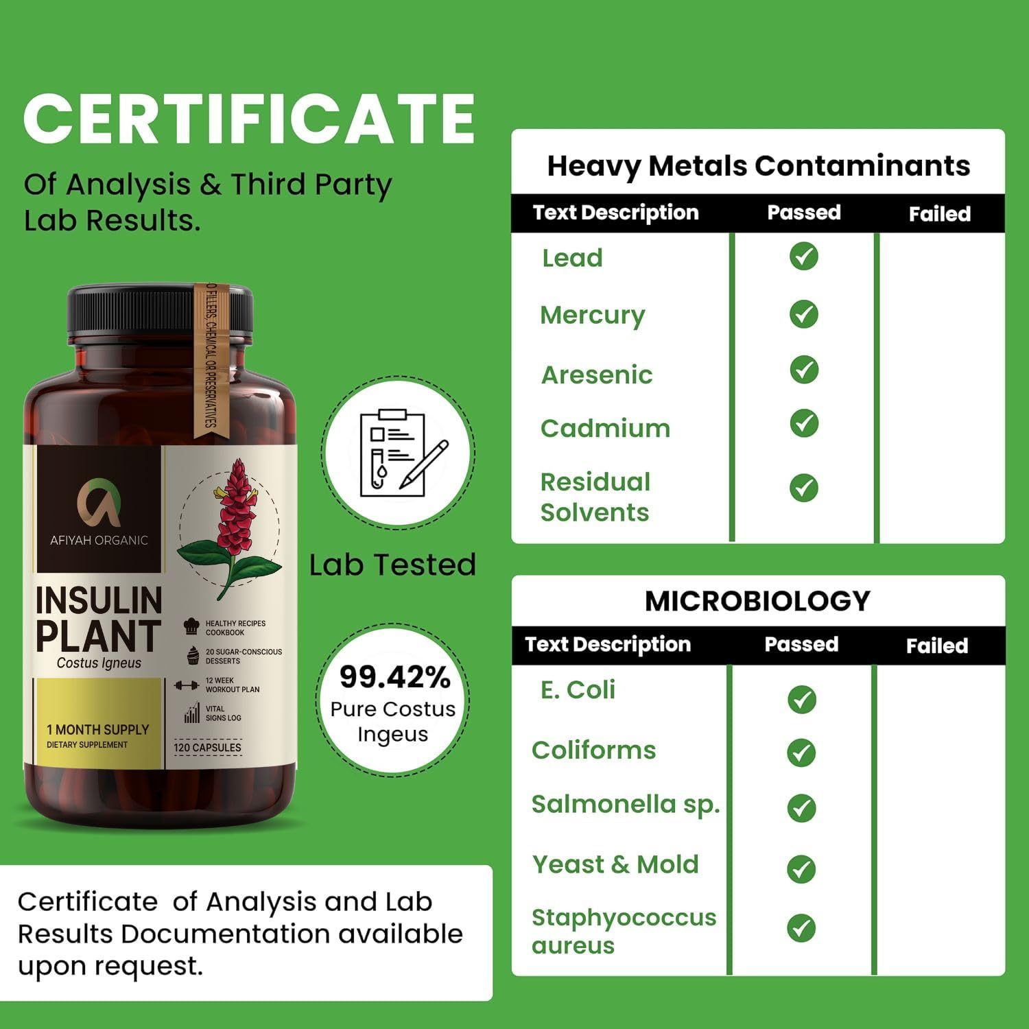 Afiyah Organic - Premium Quality Costus Igneus (Insulin Plant) Capsules - Easy to Swallow 120 Veggie Capsules (1 Month Supply) - Made in the USA - Including Complete Health Support Program Afiyah Organic buy supplements Au