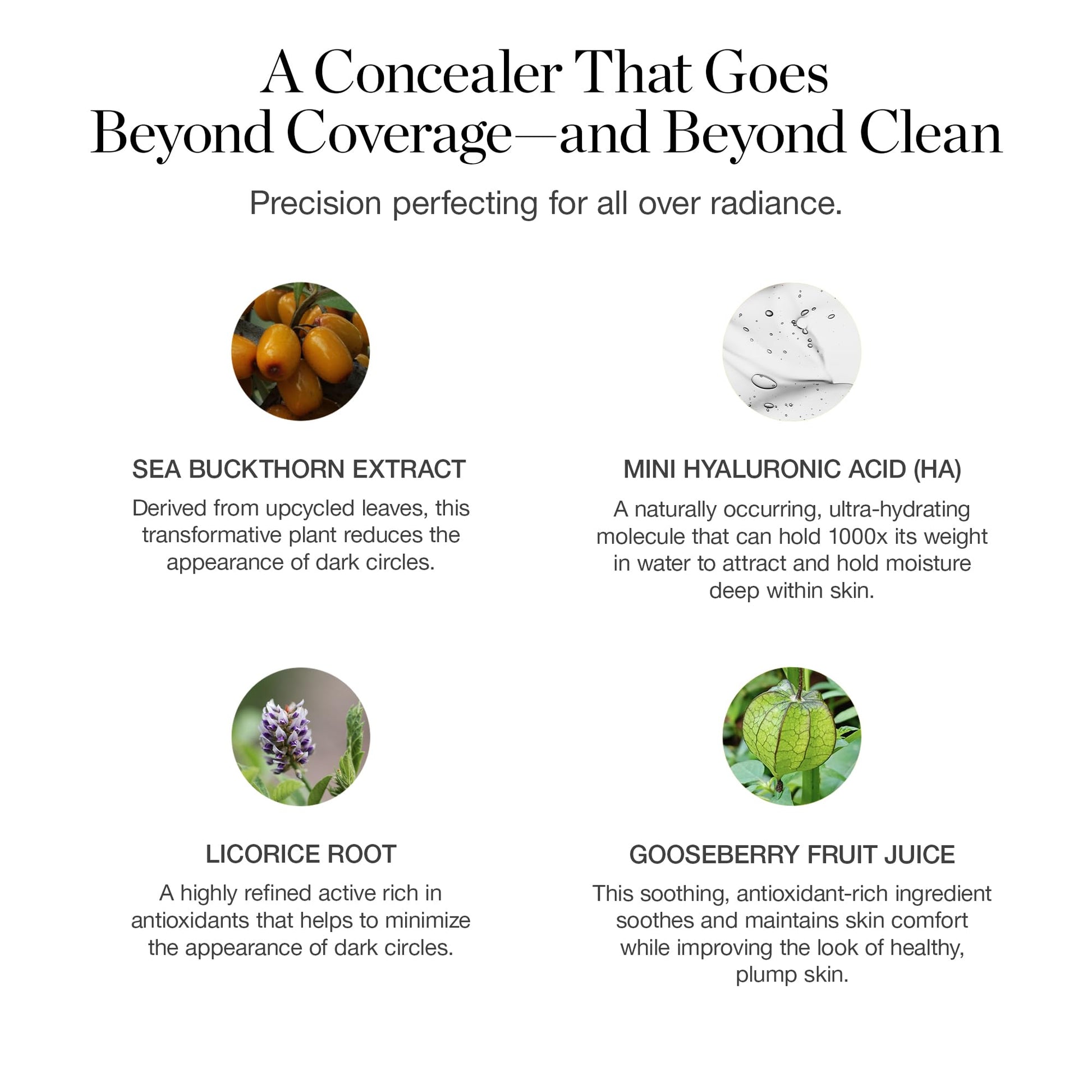 Ogee Complexion Perfecting Under Eye Concealer - Certified Organic Full Coverage Concealer - Buildable Coverage - OSIER 1.75W - Light Medium (Olive Undertones) OgeeBuy Supplements Australia