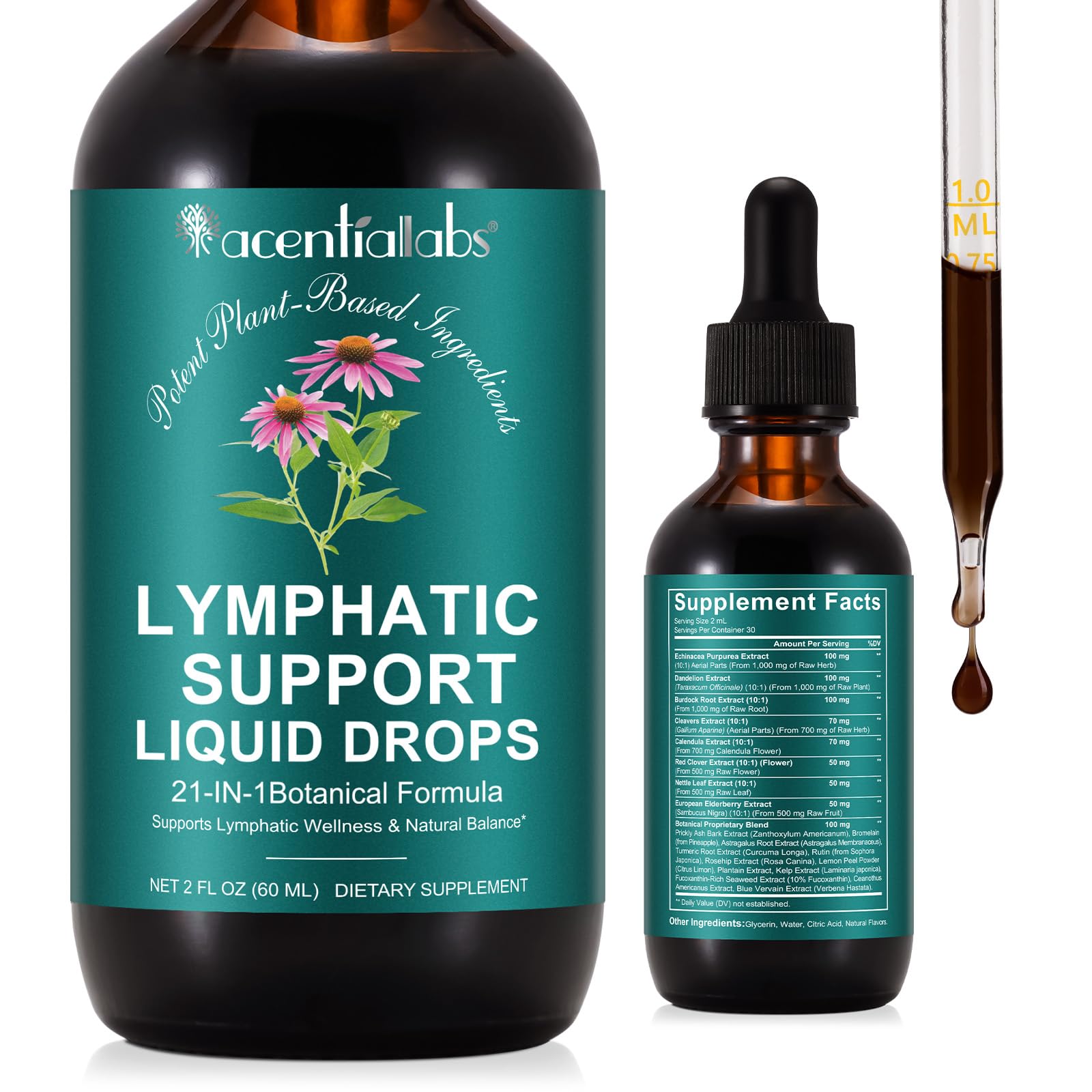 Lymphatic Drainage Drops | 21-in-1 Lymph System Support Supplement | Lymph Cleanse with Turmeric, Echinacea, Elderberry & Dandelion | for Women & Men, 2 fl oz Daiasns buy supplements Au