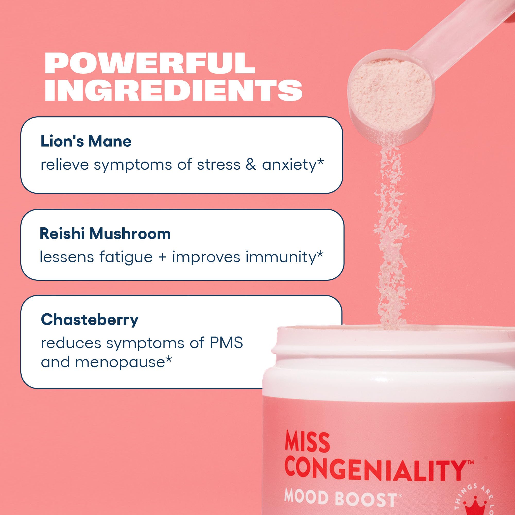 Love Sweat Fitness Mood & Stress Support Supplement for Women | Ashwagandha, B Vitamins & Magnesium Powder | Focus, Calm & Balance | Miss Congeniality Vanilla | Vegan, Non-GMO | 28 Servings Love Sweat FitnessBuy Supplements Australia