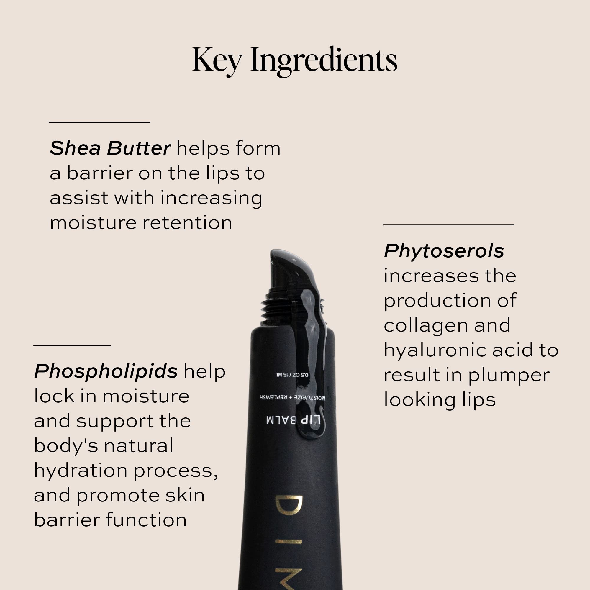 DIME Beauty Lip Balm, Hydrating Lip Balm and Gloss, Vegan & Cruelty-Free, Anti-Aging Lip Care, .5 oz / 15 ml DIMEBuy Supplements Australia