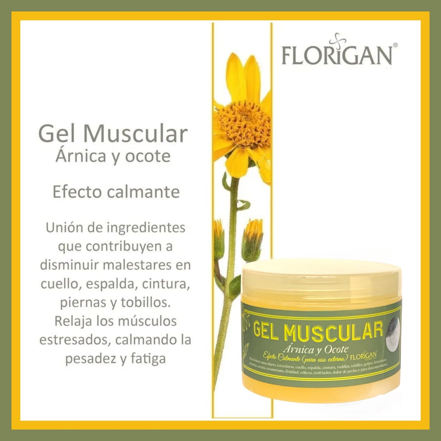 Arnica and Ocote Muscle Gel 350grs. FloriganBuy Supplements Australia