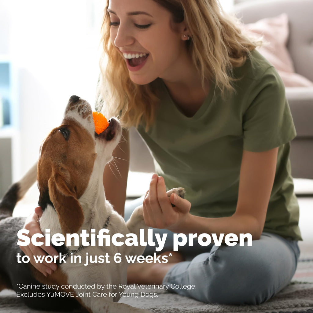 Yumove Hip & Joint Supplement for Dogs with Glucosamine, Hyaluronic Acid, Green Lipped Mussel & Omega 3 Joint Supplement - Regular or Advanced Strength (90 Count, Advanced Vet Strength Soft Chews) YuMOVEBuy Supplements Australia