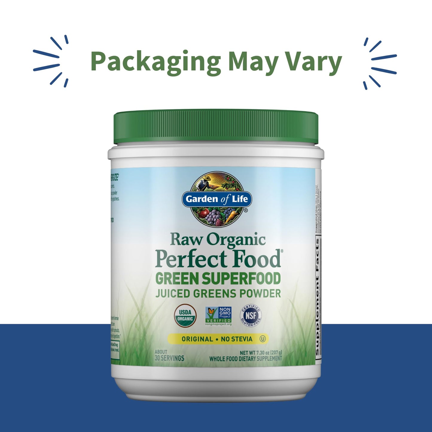 Garden of Life Raw Organic Perfect Food Green Superfood Juiced Greens Powder - Original Stevia-Free, 30 Servings, Non-GMO, Gluten Free Whole Food Dietary