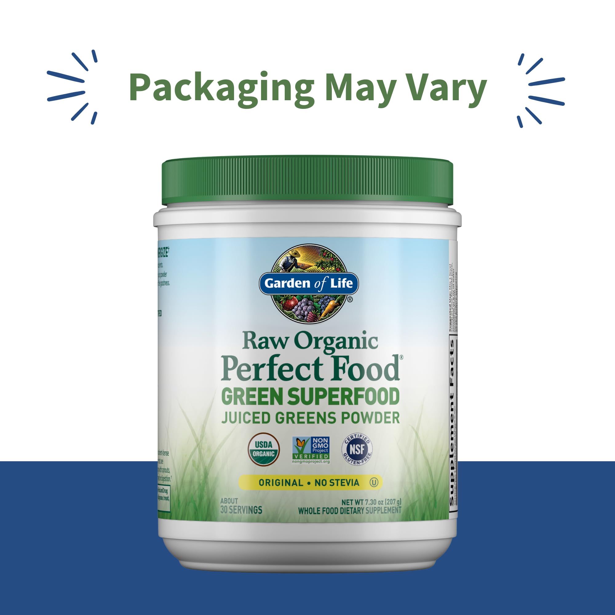 Garden of Life Raw Organic Perfect Food Green Superfood Juiced Greens Powder - Original Stevia-Free, 30 Servings, Non-GMO, Gluten Free Whole Food Dietary