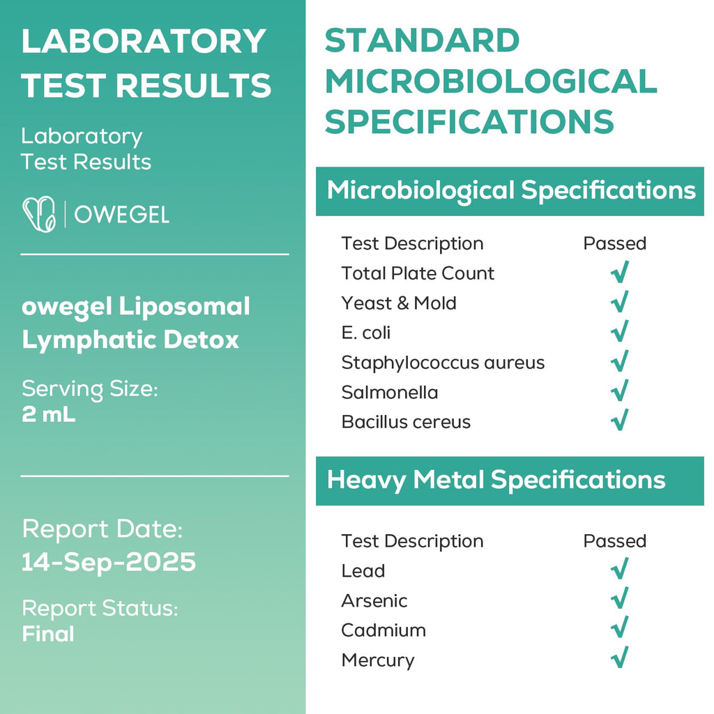 owegel Liposomal Lymphatic Drainage Drops 2000mg – Immune & Lymph System Support – Lymphatic Detox and Cleanse with Echinacea, Red Clover, Dandelion & Cleavers – Sugar-Free, Alcohol-Free – 2 FL OZ owegel buy supplements Au