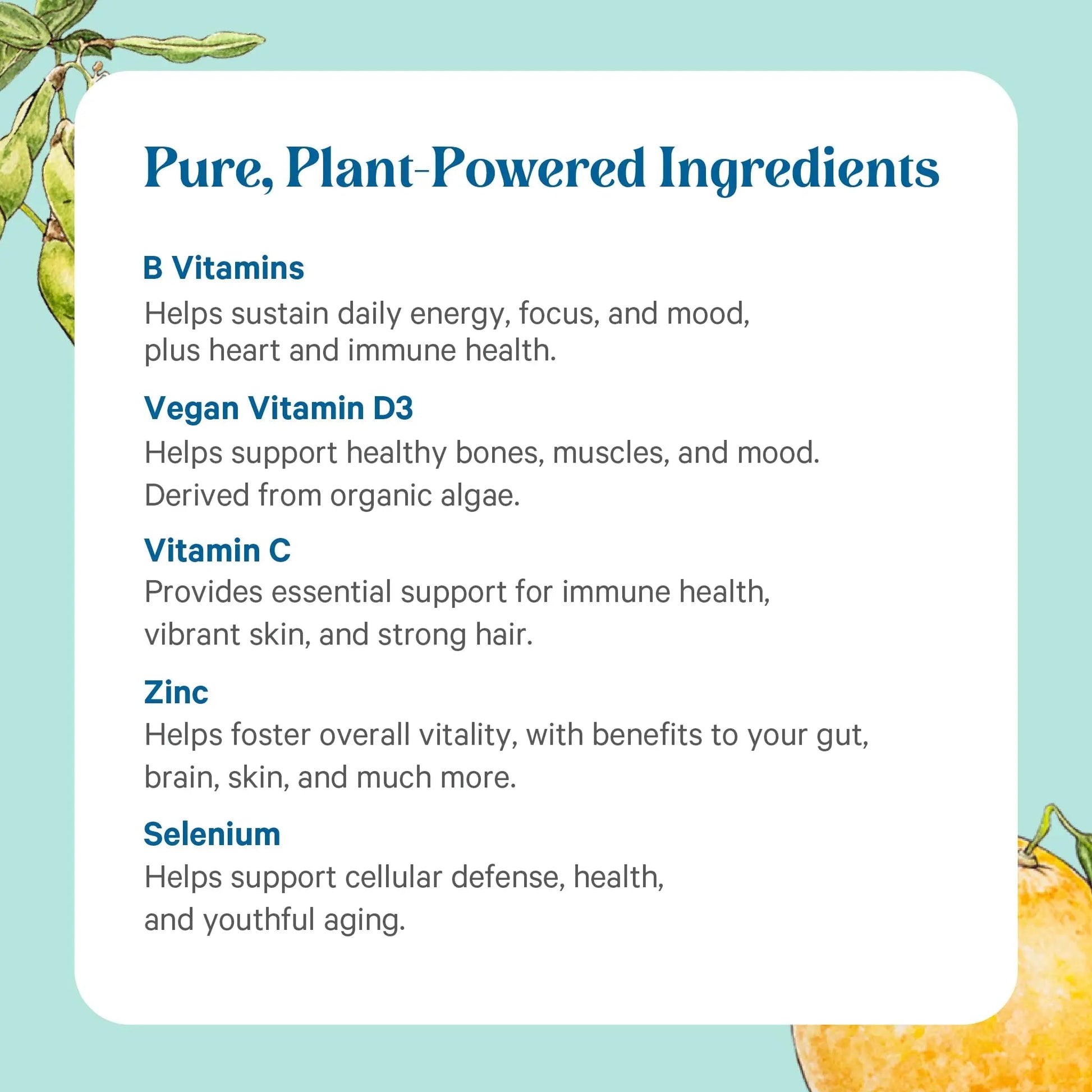 PURE SYNERGY Multi·Vita·Min | Vegan Multivitamin Made with Organic Whole Foods | Twice Daily Supplement for Men and Women PURE SYNERGY