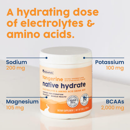 NativePath Hydrate, Zero Sugar, Electrolytes Powder with BCAAs, Tangerine Hydration, Keto & Paleo Friendly, 30 Servings