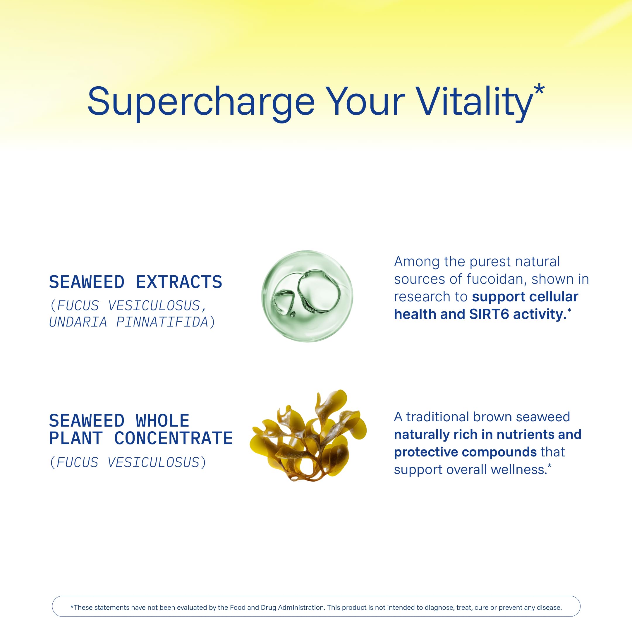 ProHealth Sirtuin 6 Activator | 60 Capsules | Fucoidan-Rich Seaweed Extract to Activate SIRT6 for Longevity, DNA & Cellular Support | Triple Lab-Tested, GMP-Manufactured in USA ProHealthBuy Supplements Australia
