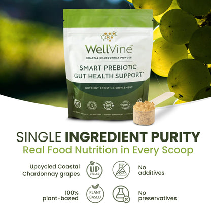 WellVine Premium Smart Prebiotic Gut Health Supplement Powder for Men & Women | Digestive Support & Gut Health With 100% Upcycled Chardonnay Grapes | Plant-Based