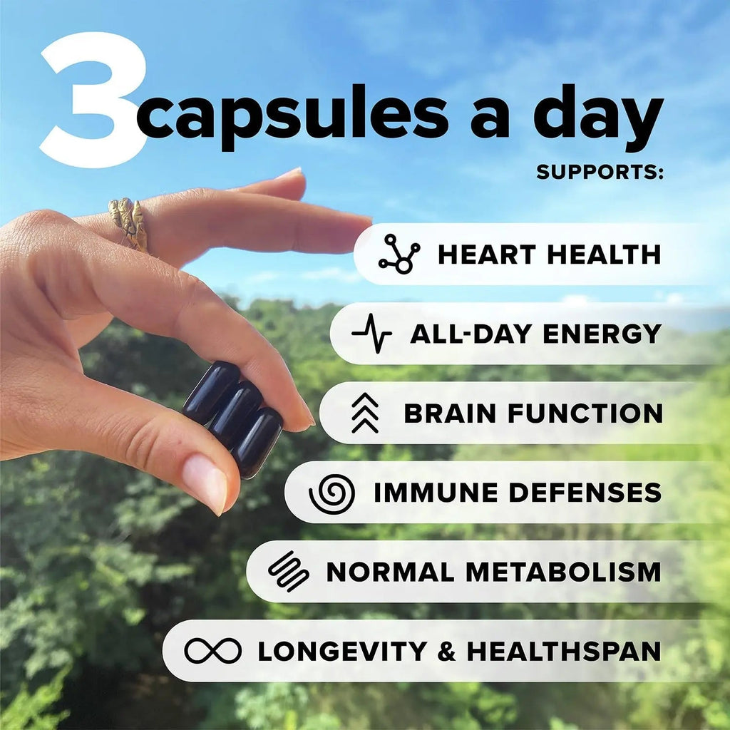 Complement Essential Vegan Multivitamin for Men & Women (60 Servings, 180 Capsules) with Omega-3 DHA & EPA, B12, Vitamin D3 & K2 Complement