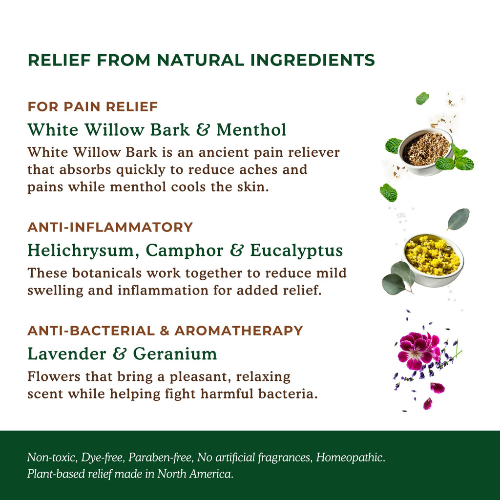 Nature's Willow Natural Pain Relief Patches for Muscles & Joints | Fast-Acting with White Willow Bark | Free from Artificial Fragrances & Dyes | 6 Patches per Pack (3-Pack) Nature's WillowBuy Supplements Australia