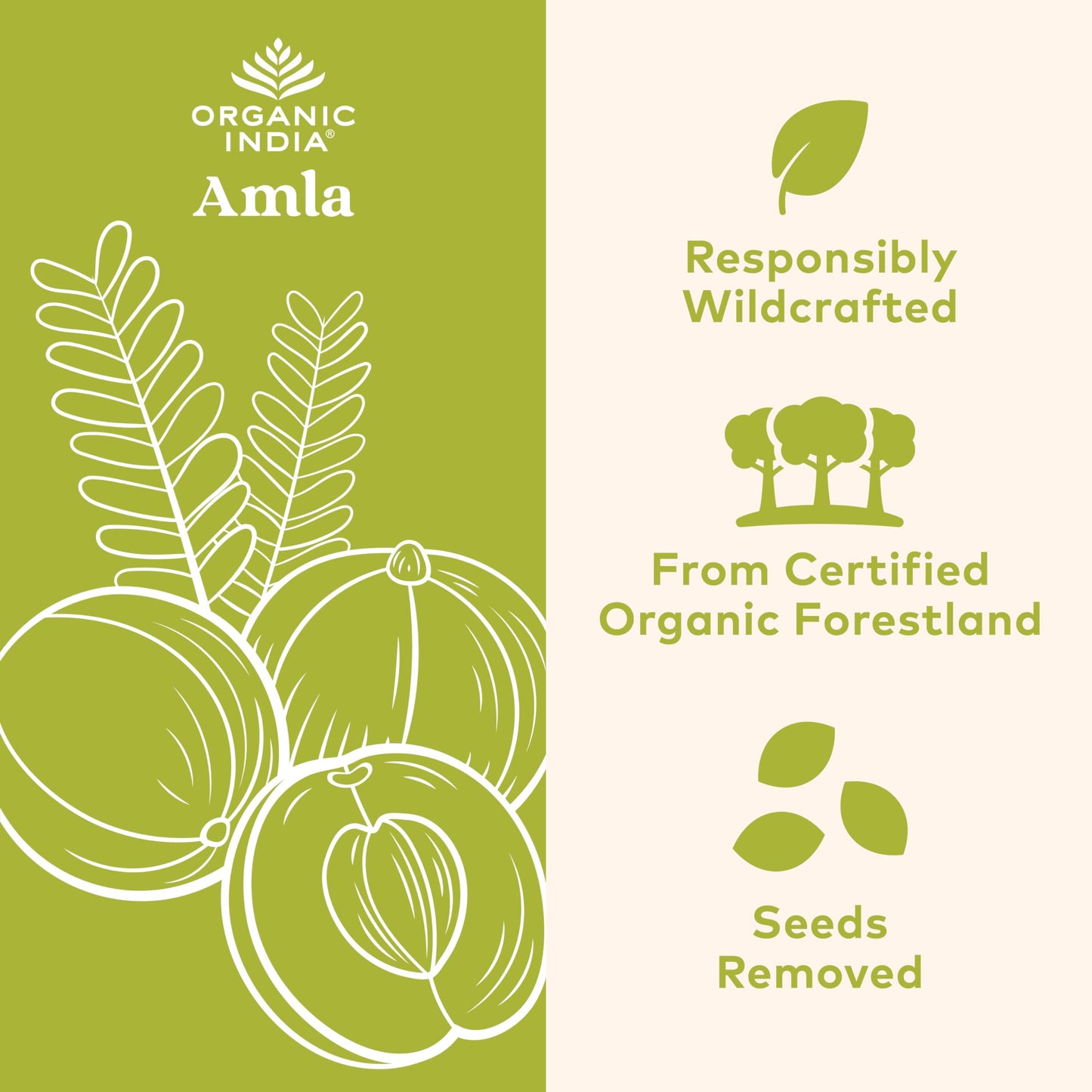 ORGANIC INDIA Amalaki Herbal Vitamin Supplement - Immune Support, Vitamin C, Vegan, Gluten-Free, Kosher, Ayurvedic, Antioxidant