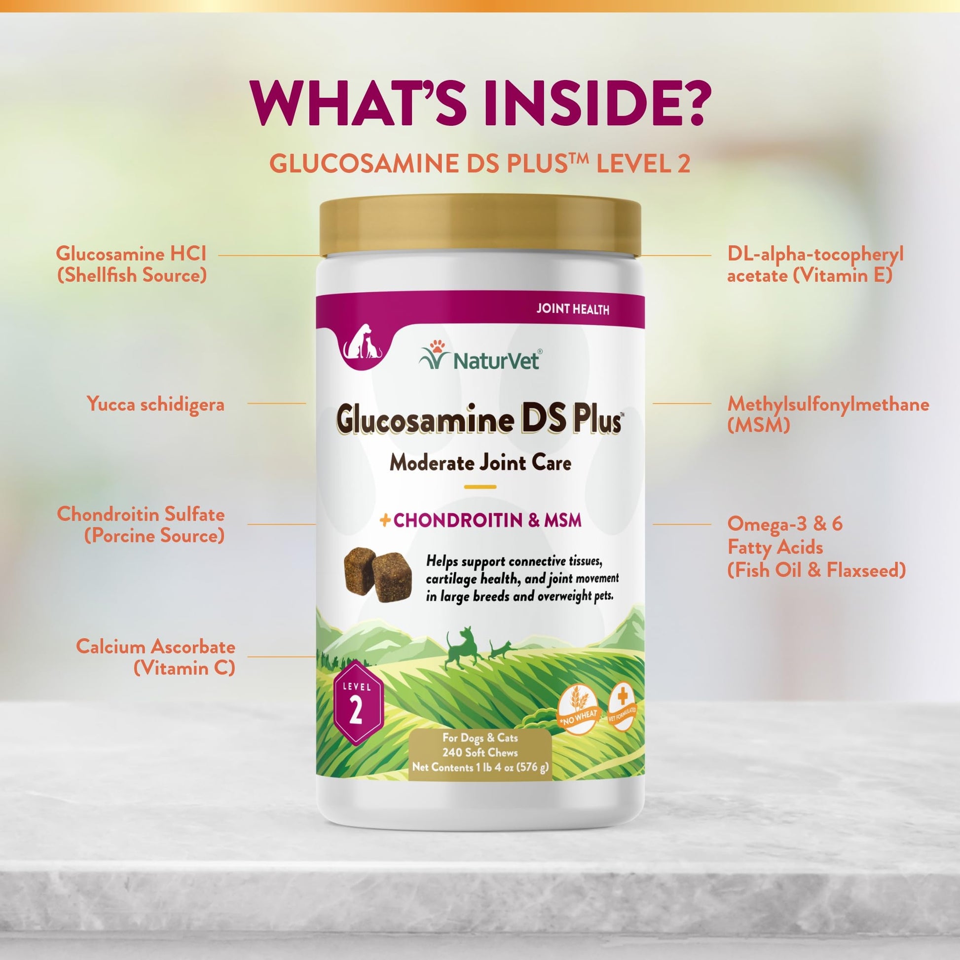 NaturVet – Glucosamine DS Plus - Level 2 Moderate Care – Supports Healthy Hip & Joint Function – Enhanced with Glucosamine, MSM & Chondroitin – for Dogs & Cats – 240 Soft Chews NaturVetBuy Supplements Australia