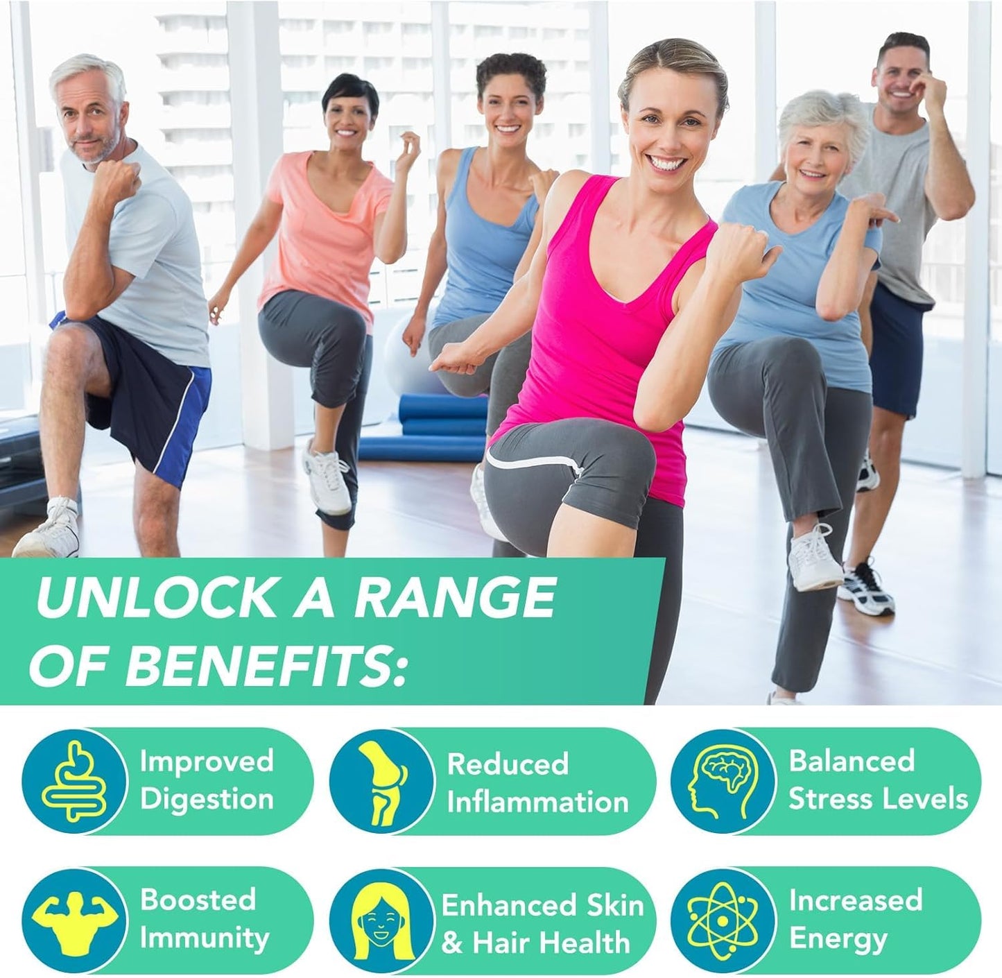HealthyFinds Sea Moss Black Seed Oil Ashwagandha Ginger Capsules with Turmeric Bladderwrack Burdock & Vitamin C Vitamin D3 with Elderberry Manuka Dandelion Yellow Dock Iodine Chlorophyll ACV HealthyFindsBuy Supplements Australia