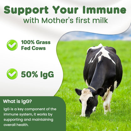 MICYDELAS Bovine Colostrum Supplement Powder 50% IgG Premium Bovine Colostrum for Gut Health Support, Immune Support, Muscle Recovery & Overall Wellness, Grass Fed, Non-GMO, Unflavored, 60 Servings MICYDELASBuy Supplements Australia