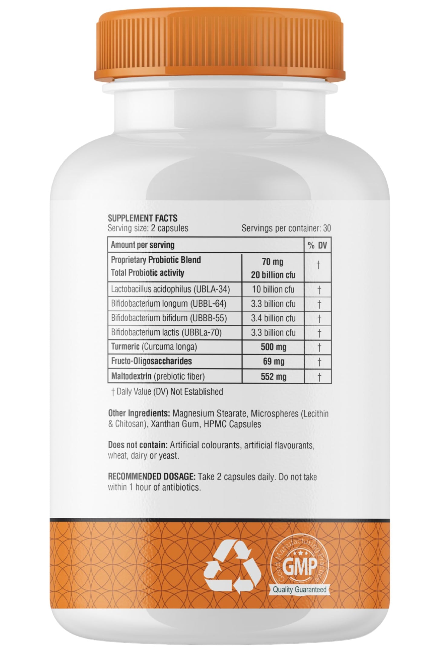 obel Probiotic & Prebiotic Supplement with Turmeric | 20 Billion CFU | 60 Capsules (30 Day Supply) | 4 Strains | Supports Digestion