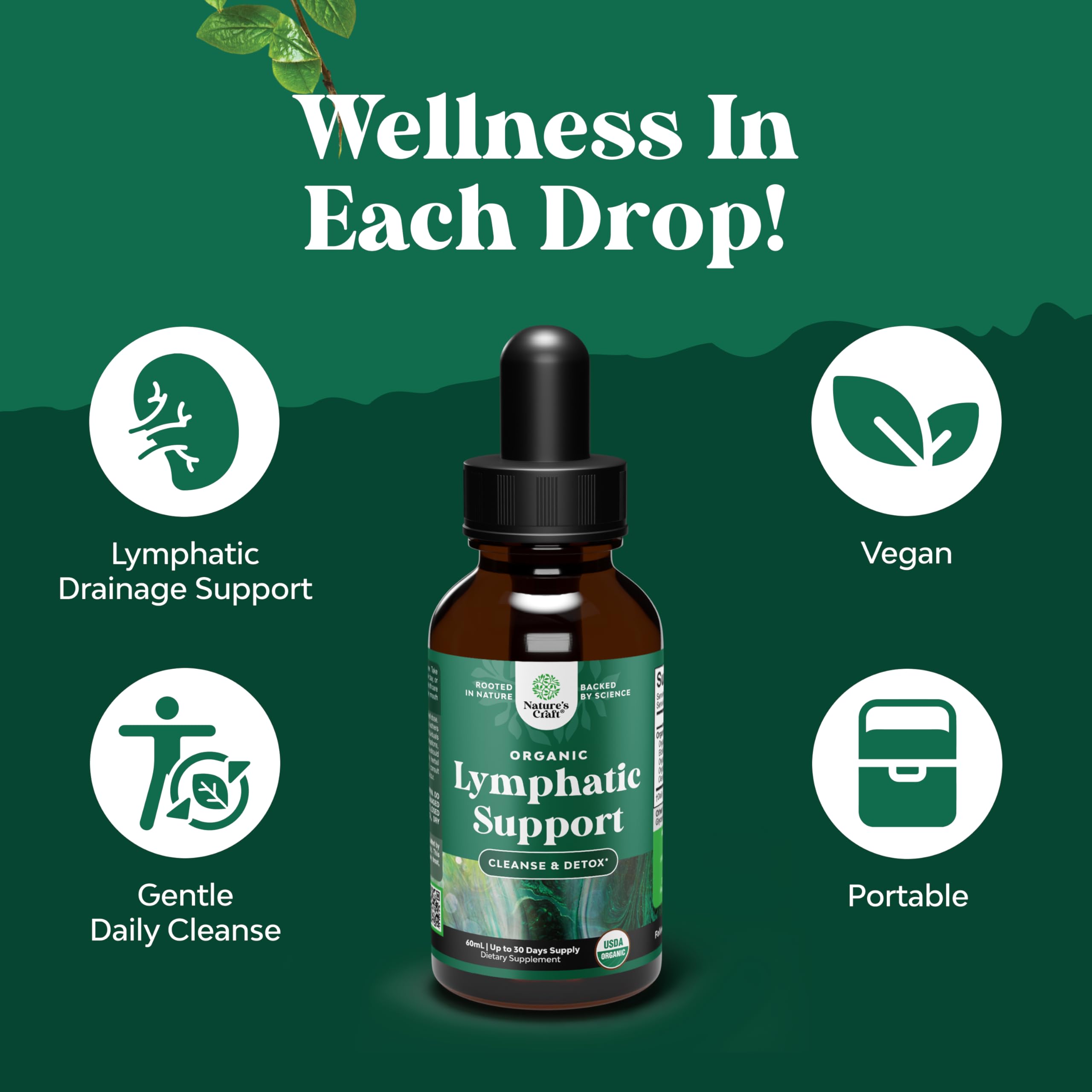 Organic Lymphatic Support Drainage Drops - Herbal Lymphatic Cleanse and Immune Support Supplement with Organic Echinacea Goldenseal & Red Clover Extract - Vegan Non GMO and Alcohol Free - 2 Fl Oz Natures Craft buy supplements Au