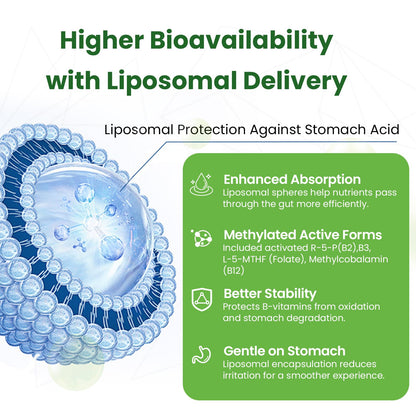 Liposomal B Complex for High Absorption Methylated B12,L-Methyfolate(5-MTHF ),Full Active B Vitamins with Choline Inositol-Energy, Metabolism,Brain & Heart Support
