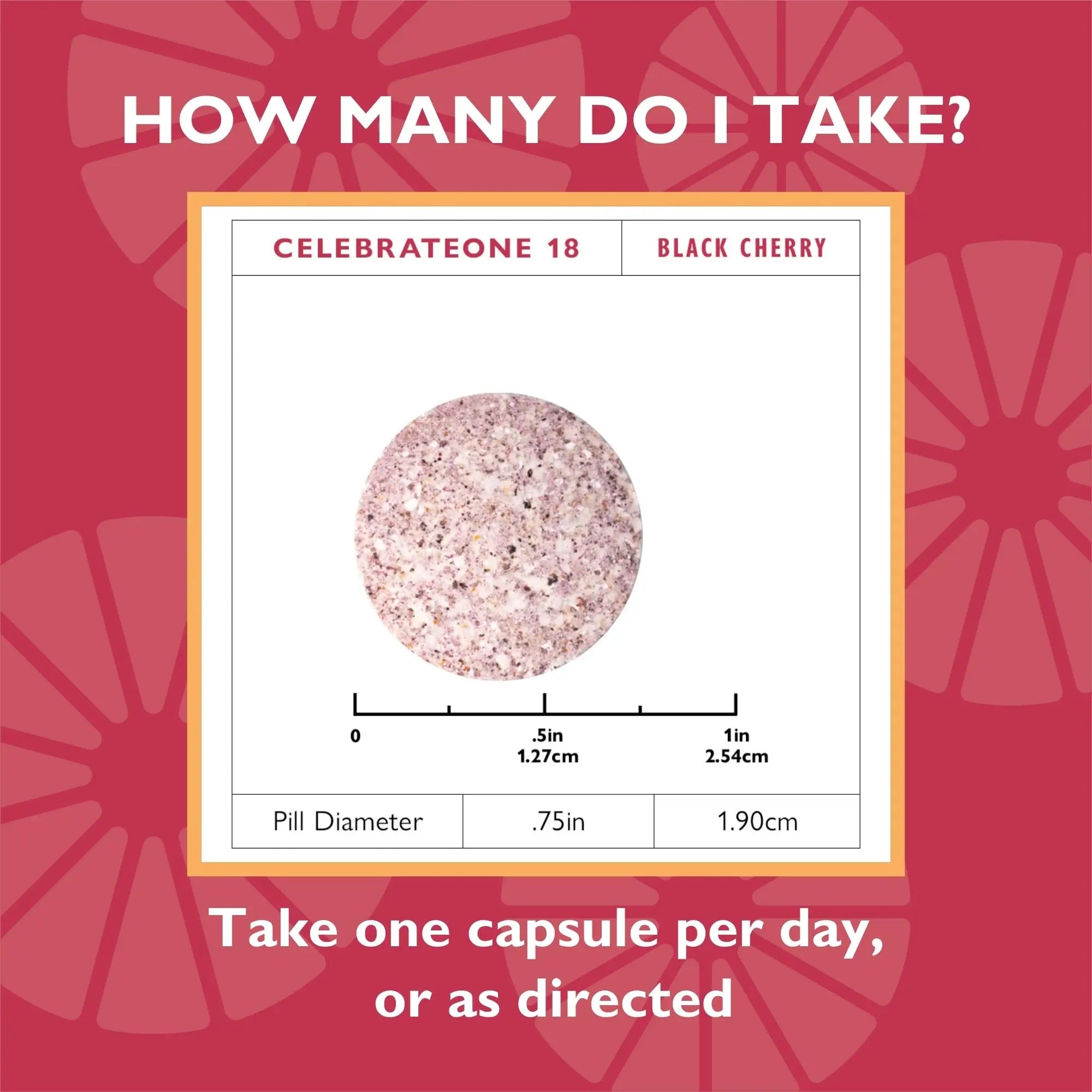 Celebrate Vitamins CelebrateONE 18 Chewables, 18mg Iron - Once Daily Bariatric Multivitamin, Essential Vitamins & Minerals Celebrate Bariatric Supplements