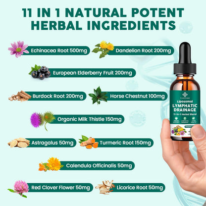 Lymphatic Drainage Drops - 11 in 1 Lymphatic Supplement for Immune, Lymph System & Liver Detox - with Echinacea, Horse Chestnut, Dandelion, Elderberry & Burdock - Raspberry Flavor, Vegan, 2 Fl Oz YANLUOBO buy supplements Au