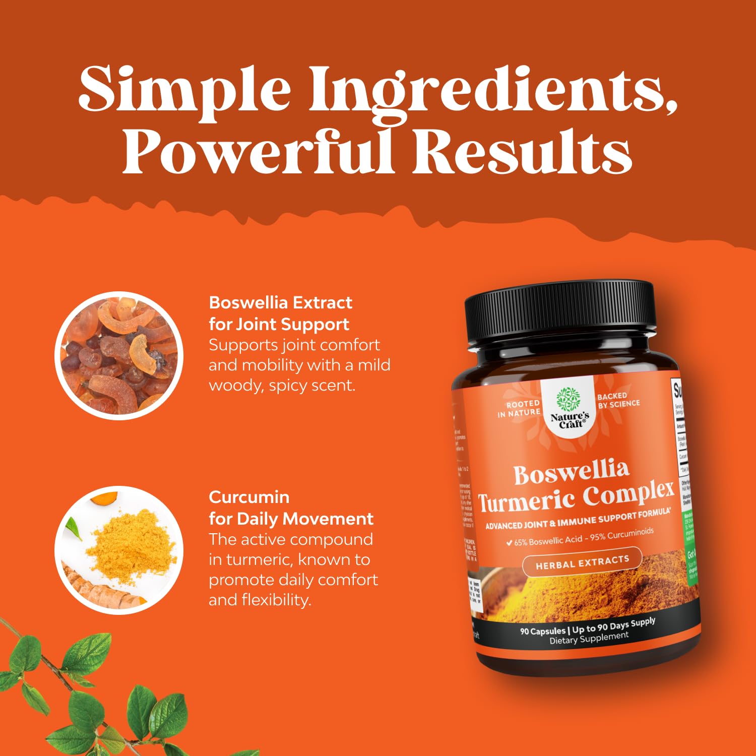 Boswellia Extract Capsules with Turmeric - Advanced Immune Health Support Supplement - Turmeric & Boswellia Serrata Capsules 500mg per Serving for Body Detox & Healthy Joints - 90 Count Natures Craft buy supplements Au