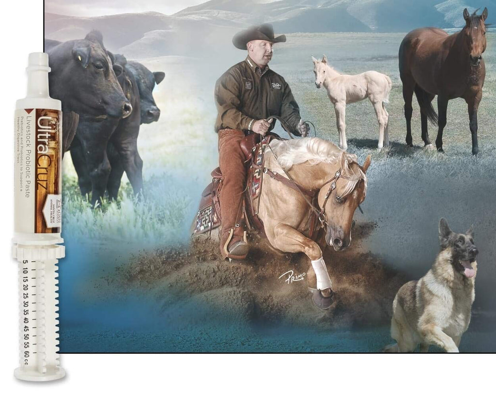 60 ml, Paste, 4 Day Supply UltraCruz buy supplements Au