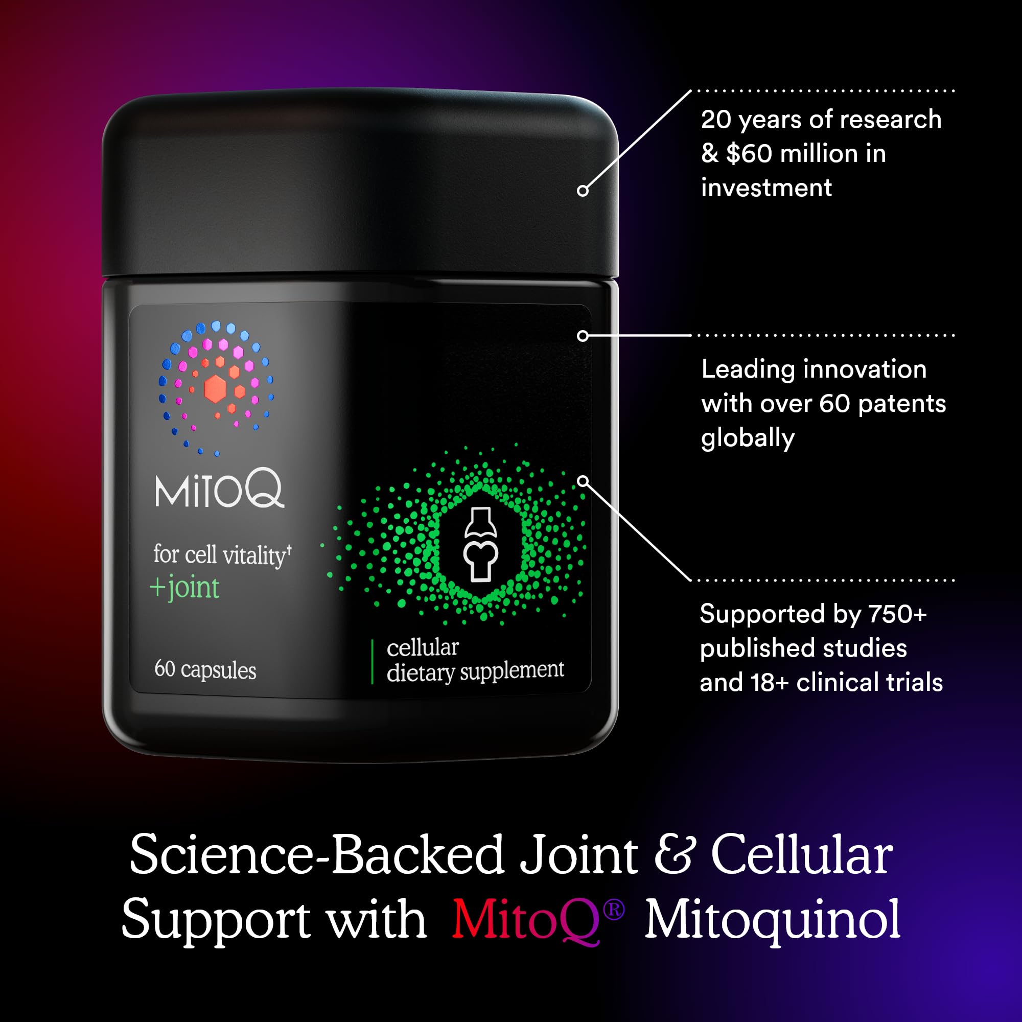 MitoQ +Joint Advanced CoQ10 Antioxidant Supplement - Contains Mitoquinol Mesylate & Green Lipped Mussel Omega Oil Extract - Supports Healthy Joint, Mobility and Cell Vitality (60 Softgel Capsules) MitoQBuy Supplements Australia