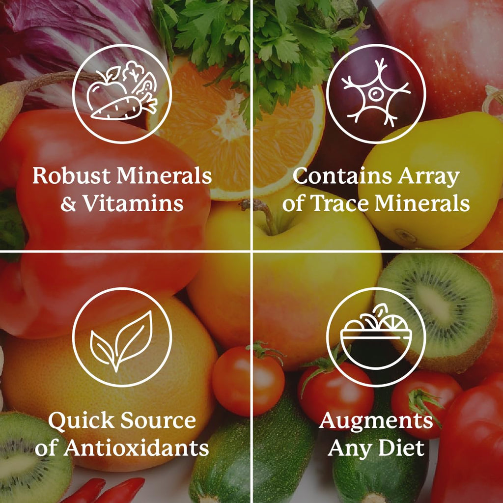 Nature's Sunshine Super Supplemental: Complete Multivitamin with Minerals, Antioxidants & More for Nutritional Gaps, Overall Health, Immune & Energy Support. 120 Tabs Nature's Sunshine buy supplements Au