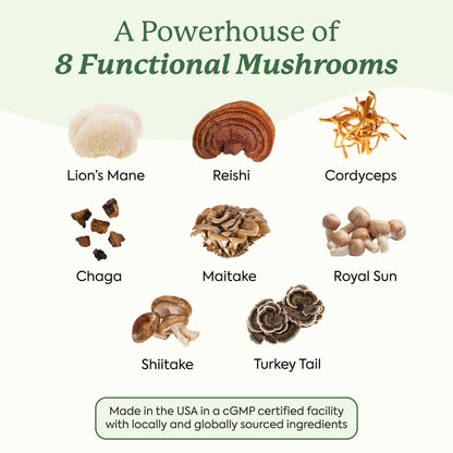 Plant People WonderDay Mushroom Gummies - Lion’s Mane, Cordyceps, Chaga Mushroom Supplement to Support Immune System De-Stress Boost Mood & Energy in Adults Natural