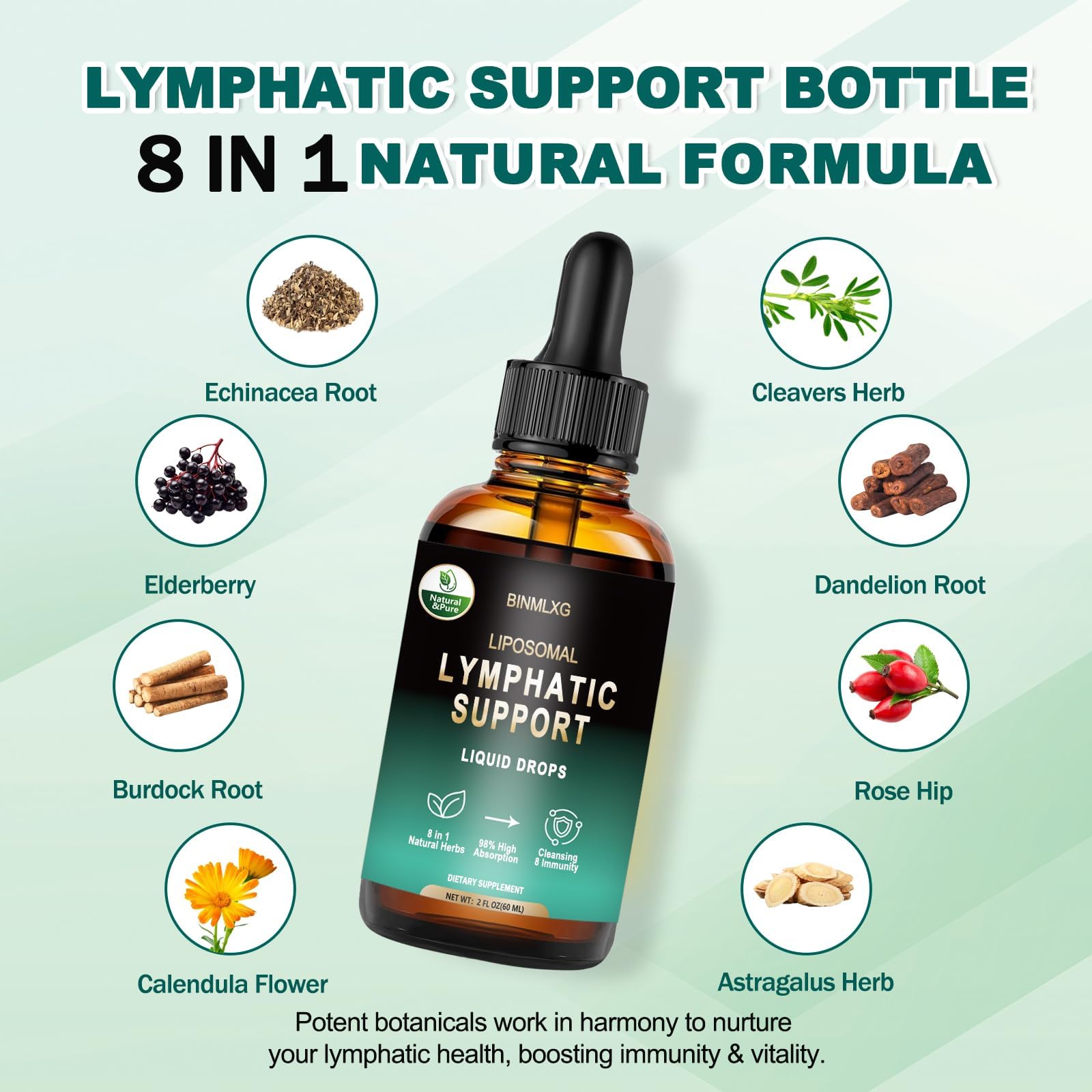 BINMLXG Liposomal Lymphatic Drainage Drops, 8-Herb Formula with Echinacea, Elderberry, Burdock Root Blend, for Lymphatic Drainage, Immune Support, Cleanse & Detox, 2 Fl Oz BINMLXG buy supplements Au