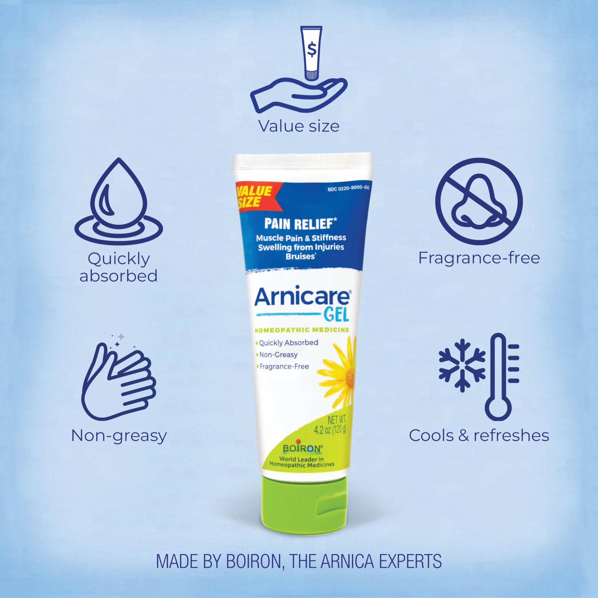 Boiron Arnicare Gel 4.2 oz (Twin Pack) for Joint Pain Relief, Muscle Pain, Muscle Soreness, and Swelling from Bruises or Injury - Non-Greasy and Fragrance-Free Arnica BoironBuy Supplements Australia