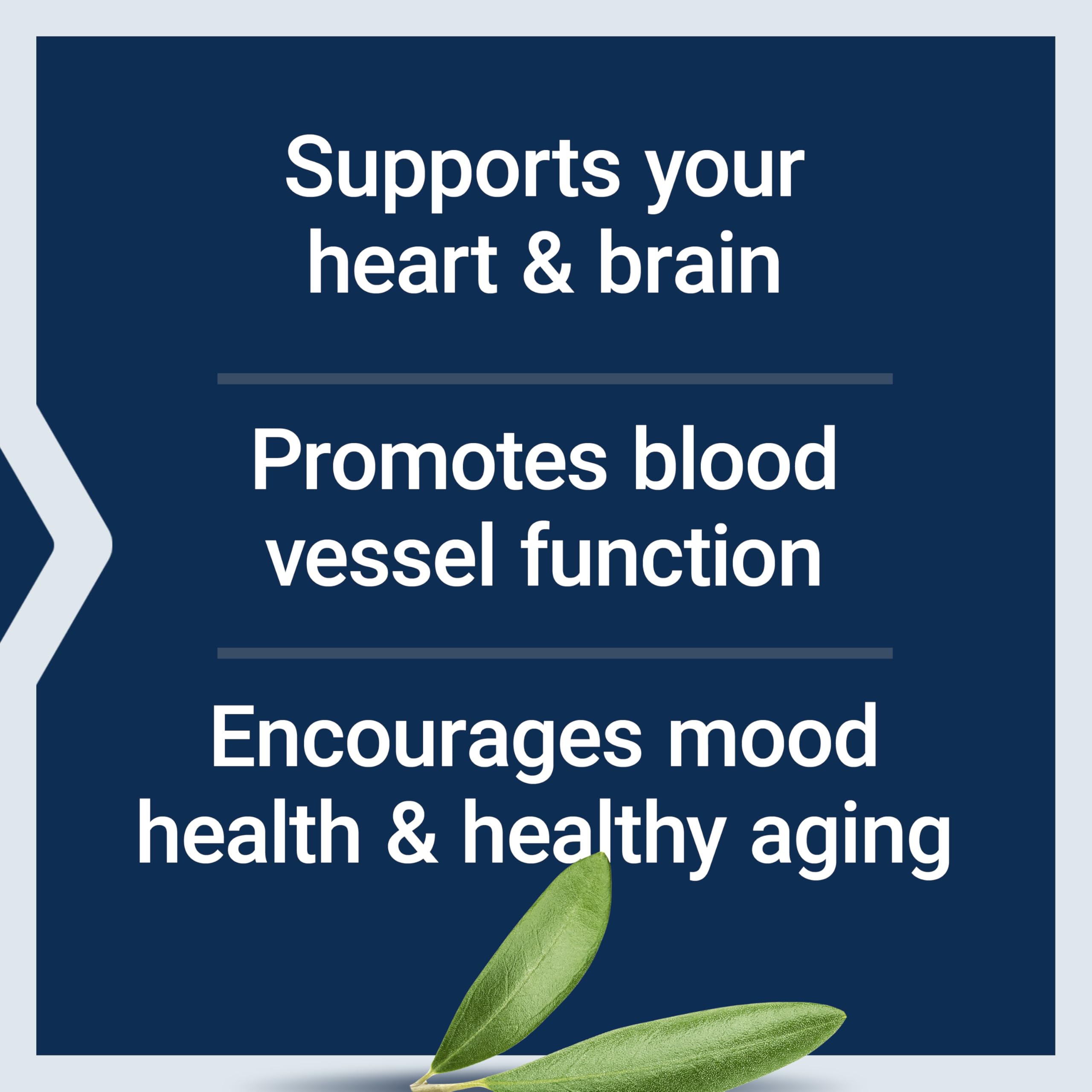 Life Extension Super Omega-3 EPA/DHA Fish Oil, Sesame Lignans & Olive Extract – Heart Health, Brain Health, Inflammation Health Support, Gluten-Free, Enteric-Coated, Non-GMO, 120 Softgels Life ExtensionBuy Supplements Australia