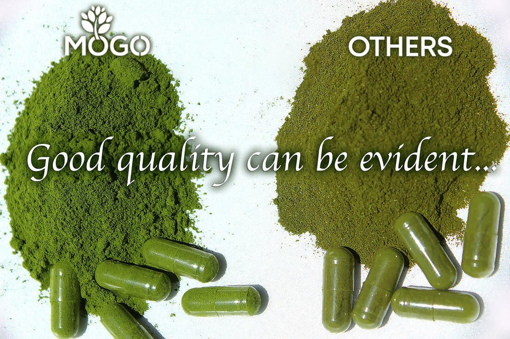 MOGO Moringa Capsules -180 Ct| Boost Energy, Immune, Gut, Joint Support | Made with Pure Organic Moringa Powder Organic Capsules | Made in USA