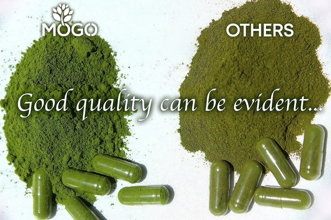 MOGO Moringa Capsules -180 Ct| Boost Energy, Immune, Gut, Joint Support | Made with Pure Organic Moringa Powder Organic Capsules | Made in USA