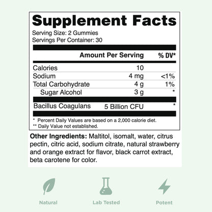 Yuve Natural Sugar Free Probiotic Gummies 5 Billion CFU, Helps with Constipation, Bloating & Leaky Gut - Vegan, Gluten-Free & Non-GMO - 60ct