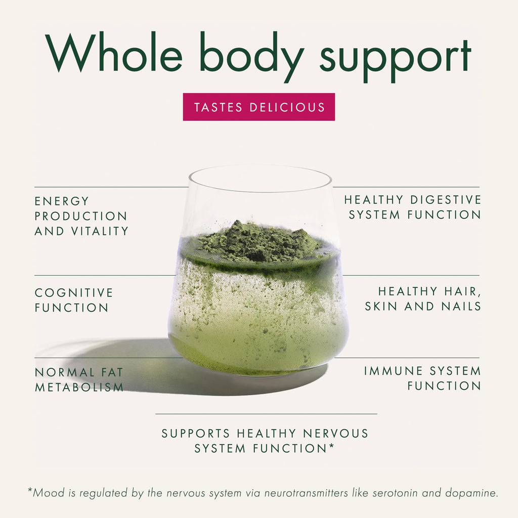 WelleCo The Super Elixir Daily Greens Powder, Probiotic Drink Mix with Whole Foods, Gluten Free, Vegan Gut Health Powder, Energy, Immunity, Healthy Skin, Hair & Nails (300g, Mixed Berry) WelleCoBuy Supplements Australia
