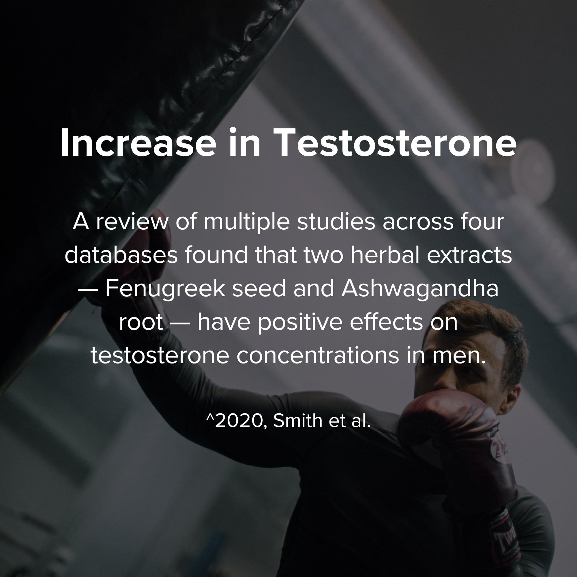 STRIVLABS Peak Potential 12-in-1  Support for Men – Fenugreek, Ashwagandha & Tongkat Ali – Natural Strength