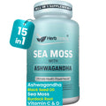 Herbtonics Sea Moss, Black Cumin Seed, Ashwagandha, Burdock Root & ACV Complex | Manage Immunity, Stress & Digestion Support | 60 Capsules (2 Capsules Per Serving) HerbtonicsBuy Supplements Australia