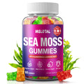 MSLOTAL Irish Sea Moss Gummies with Ashwagandha Bladderwrack and Burdock Root - Natural Irish Seamoss Supplement for Thyroid, Energy, Immune Support - 60 Vegan Gummy MSLOTALBuy Supplements Australia