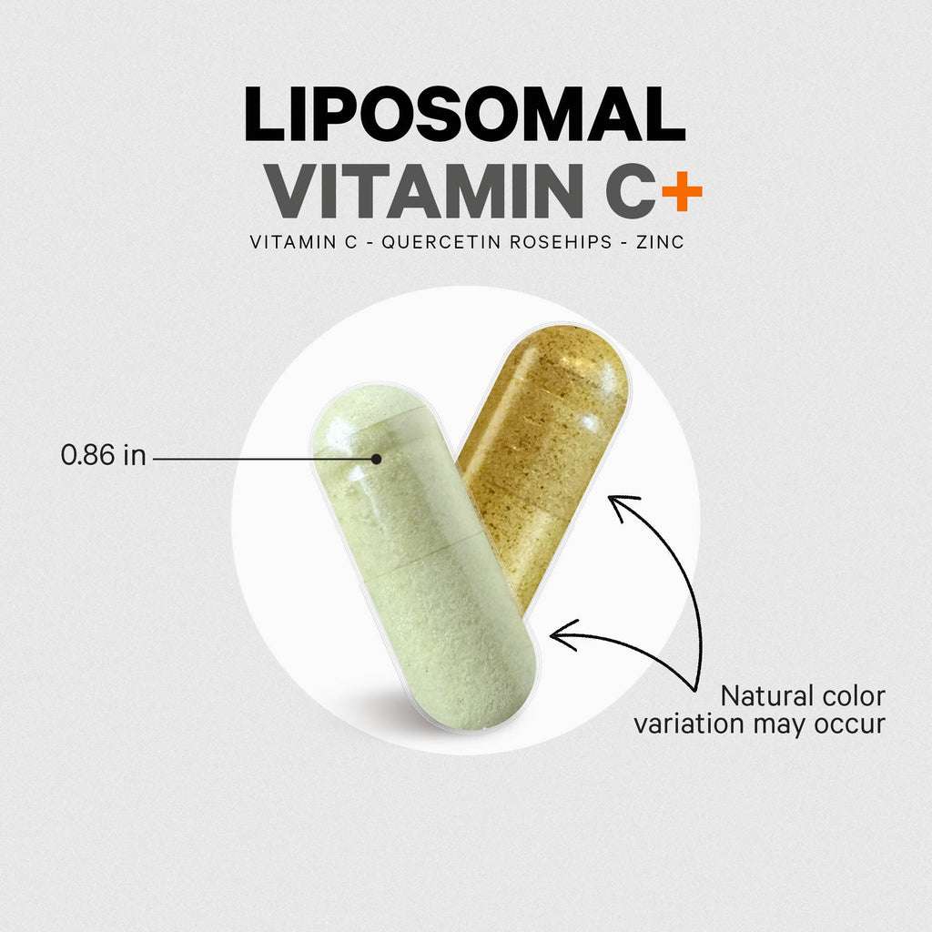 Codeage Liposomal Vitamin C 1500mg with Zinc, Elderberry, Citrus Bioflavonoids Grapefruit, Lemon, Orange Powder, Quercetin & Rose Hips Fruit – Vegan Supplement - Non-GMO, Vegan Pills, 180 Capsules CodeageBuy Supplements Australia
