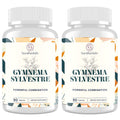 Sundhedsliv 16 in 1 Blxxd Sugr Effective Gymnema Sylvestre Supplement 2100MG | with Berberine, Cinnamon, Bitter Melon | Vitamins, Magnesium & Chromium | 2Pack SundhedslivBuy Supplements Australia