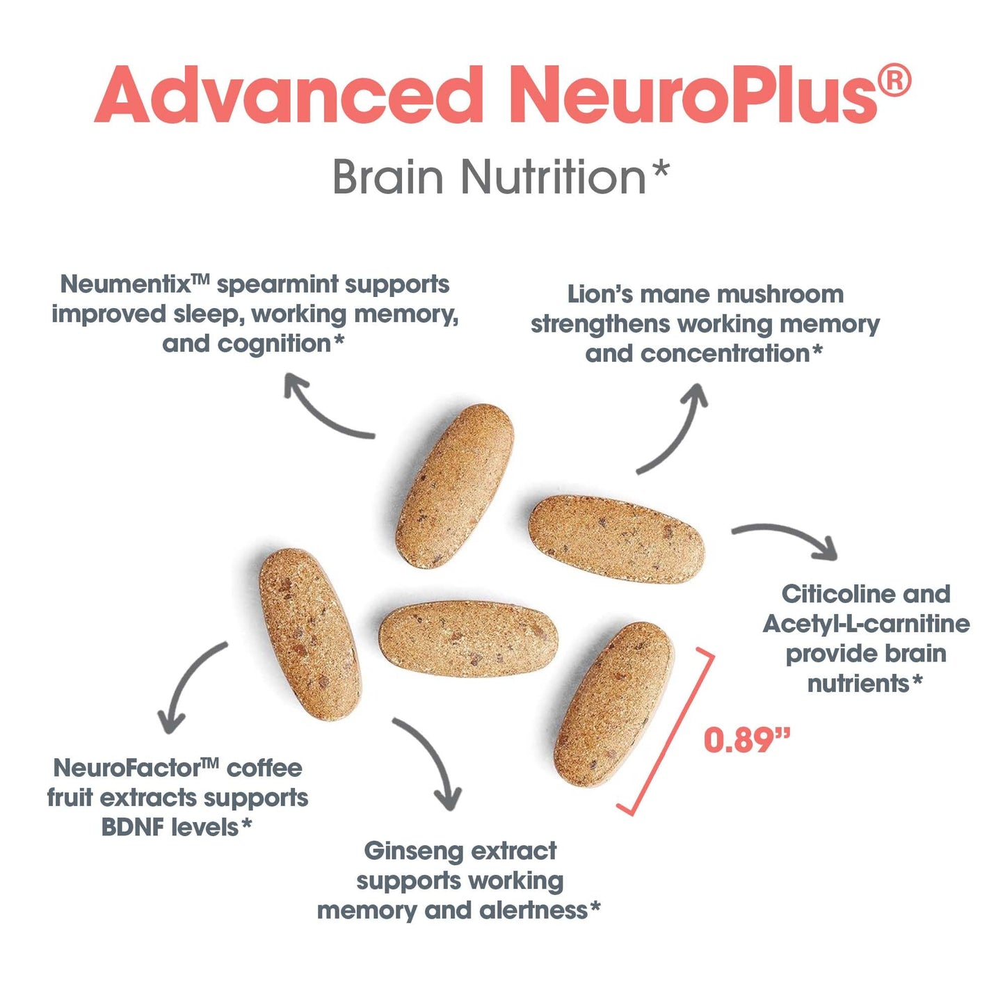Allergy Research Group Advanced NeuroPlus - Nootropic Formula with Spearmint Extract, Lions Mane & Citicoline - Supports Working Memory Focus & Cognitive Function - 30 Servings - 90 Tablets Allergy Research Group buy supplements Au