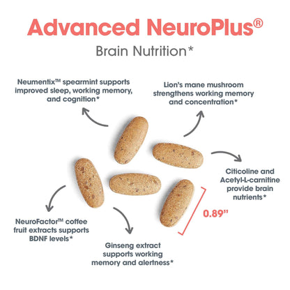 Allergy Research Group Advanced NeuroPlus - Nootropic Formula with Spearmint Extract, Lions Mane & Citicoline - Supports Working Memory Focus & Cognitive Function - 30 Servings - 90 Tablets Allergy Research Group buy supplements Au