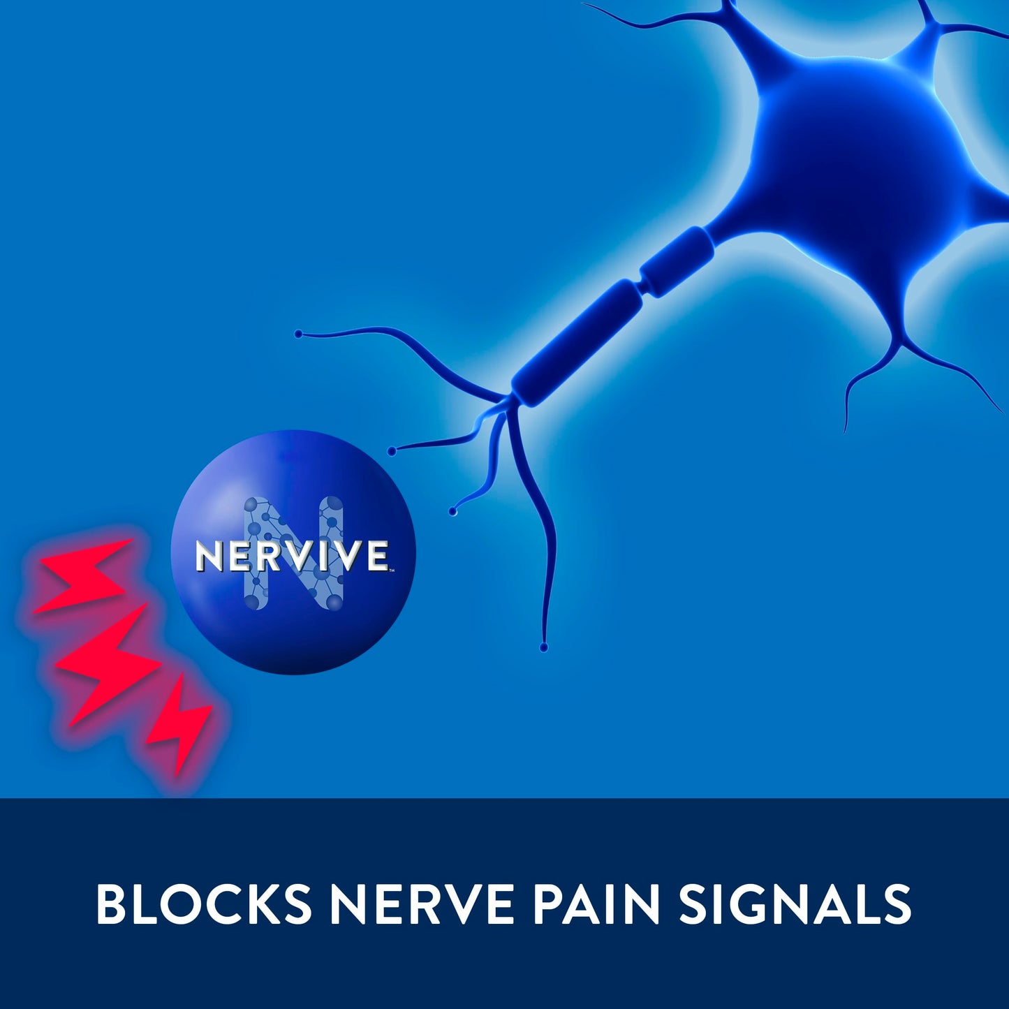 Nervive Pain Relieving Spray, Lidocaine Spray, Nervive Pain Relief, Lidocaine Topical, Foot Pain, Leg Pain, Hand Pain, Max Strength Formula, for Hard to Reach Areas, 4.5oz NerviveBuy Supplements Australia