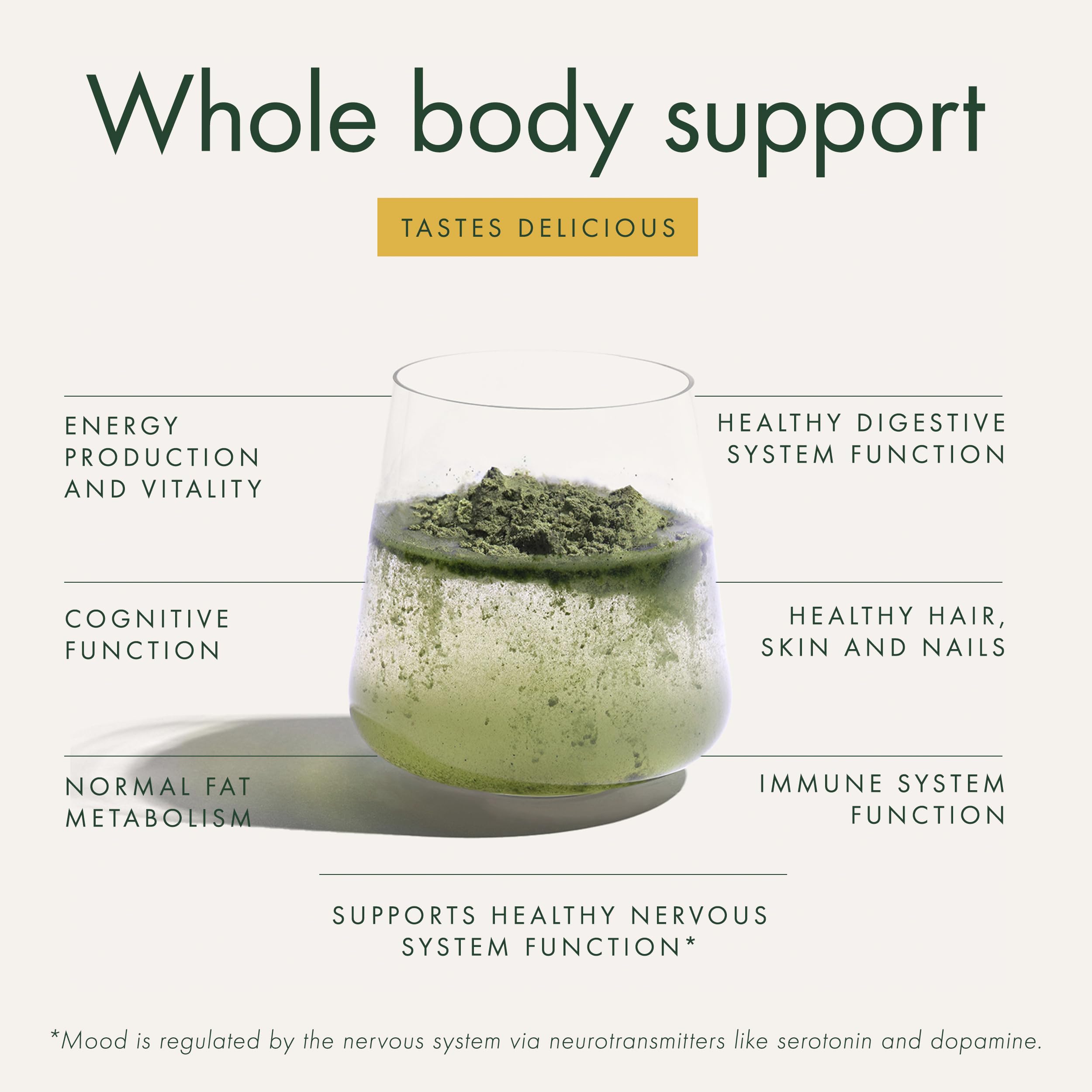 WelleCo The Super Elixir Daily Greens Powder, Probiotic Drink Mix with Whole Foods, Gluten Free, Vegan Gut Health Powder, Energy, Immunity, Healthy Skin, Hair & Nails (300g, Lemon Ginger) WelleCoBuy Supplements Australia