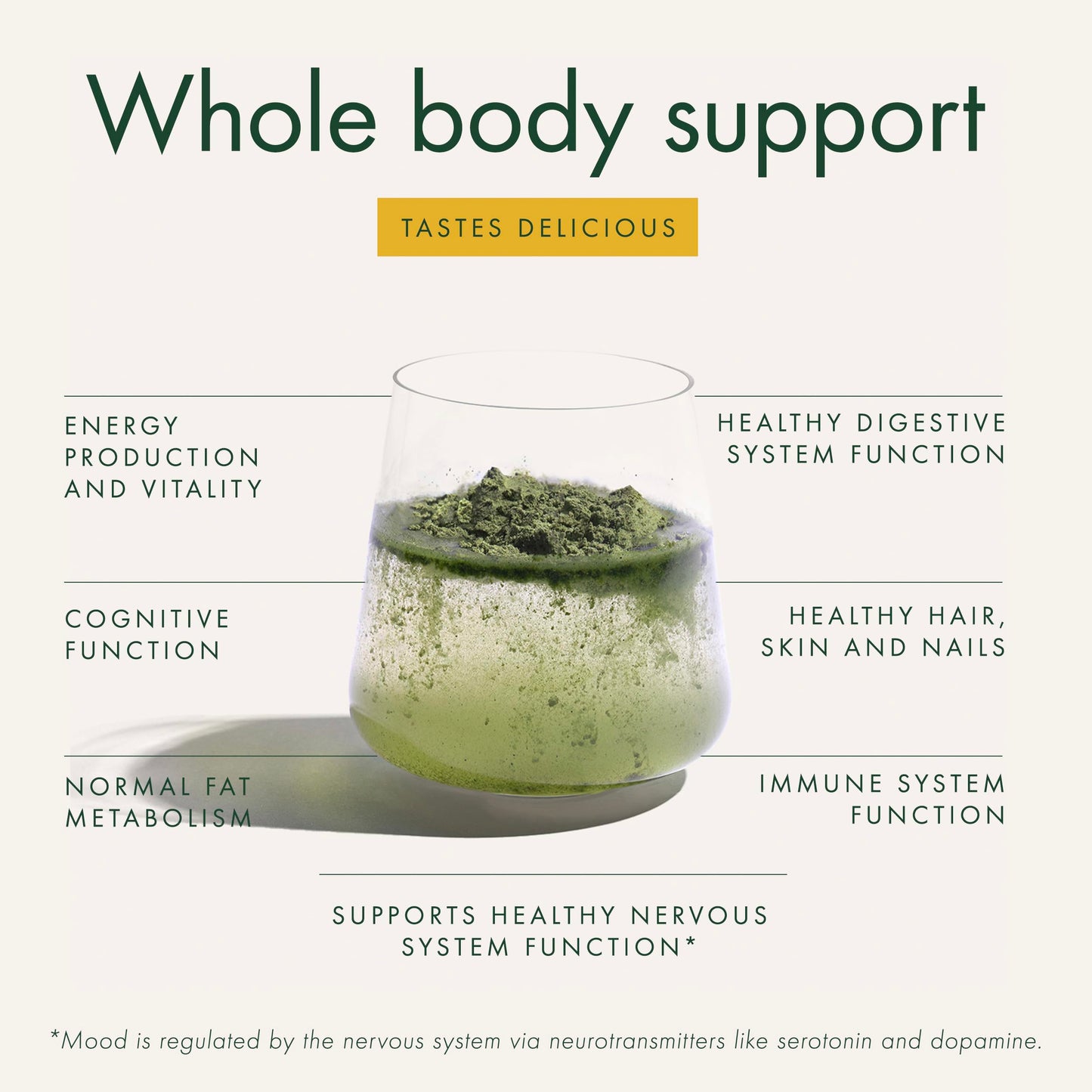 WelleCo The Super Elixir Daily Greens Powder, Probiotic Drink Mix with Whole Foods, Gluten Free, Vegan Gut Health Powder, Energy, Immunity, Healthy Skin, Hair & Nails (300g, Lemon Ginger) WelleCo buy supplements Au